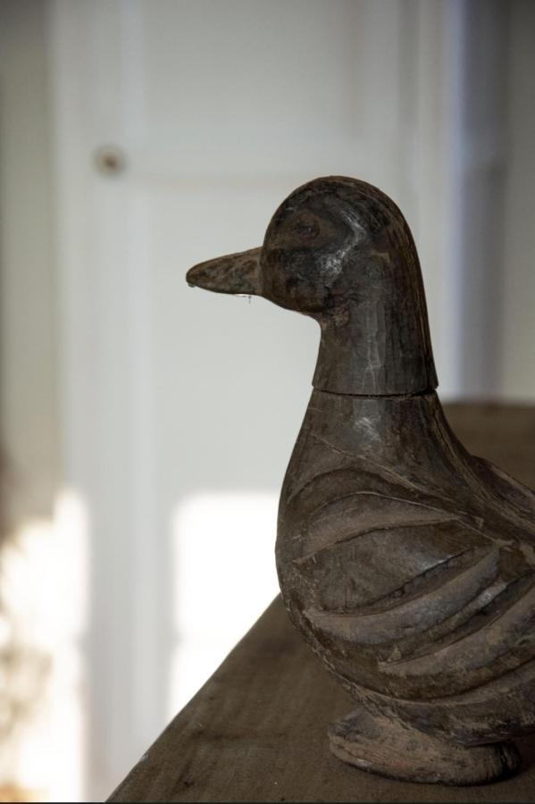 Le Roi des Oiseaux - Gîte Montcavrel Extérieur photo