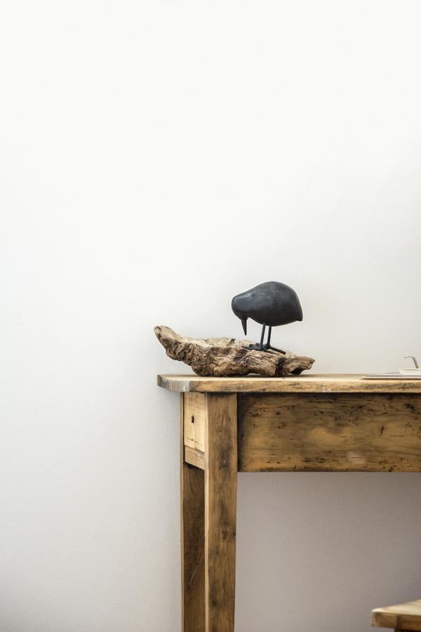Le Roi des Oiseaux - Gîte Montcavrel Extérieur photo