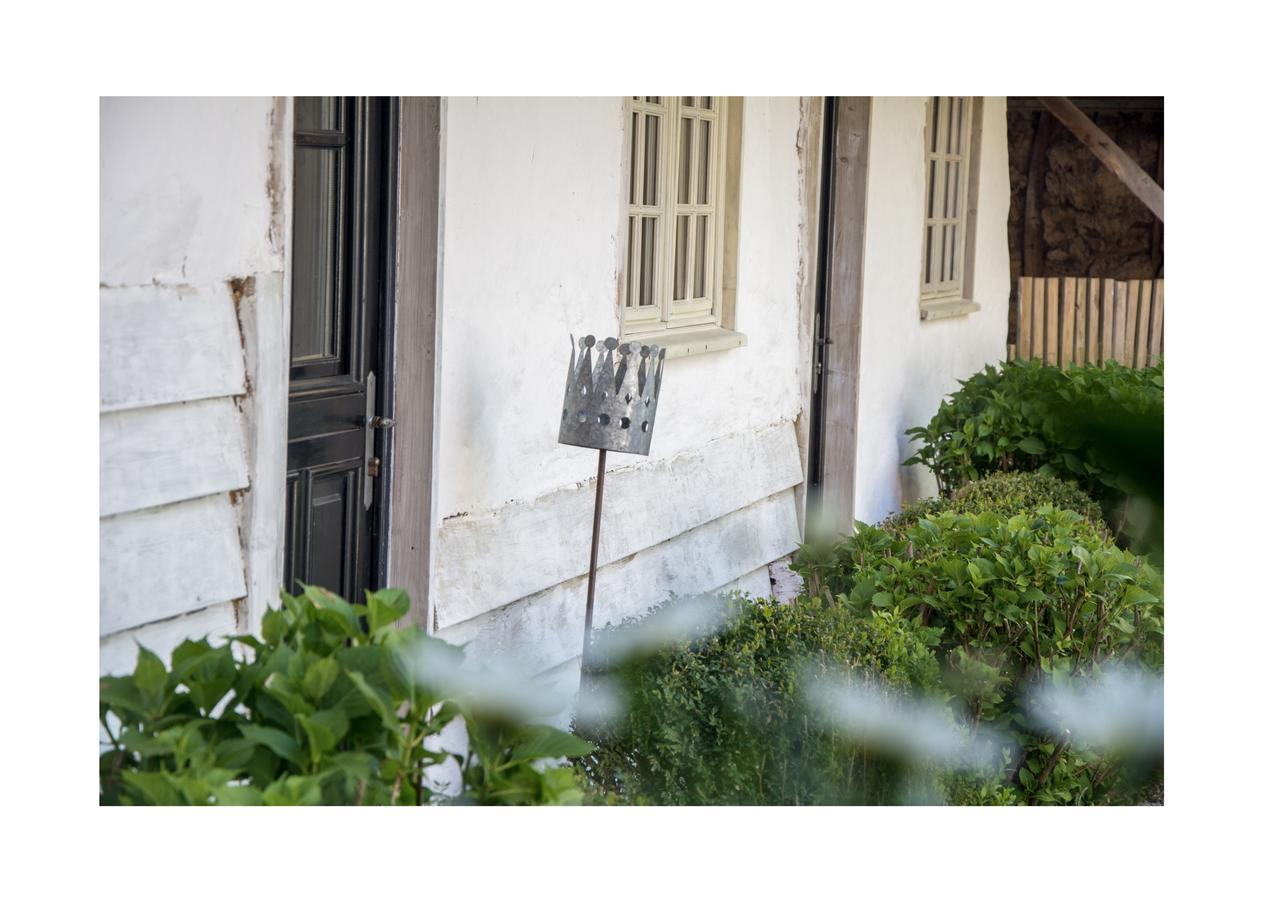 Le Roi des Oiseaux - Gîte Montcavrel Extérieur photo