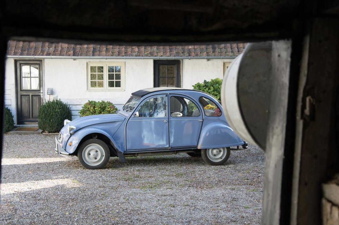 Le Roi des Oiseaux - Gîte Montcavrel Extérieur photo